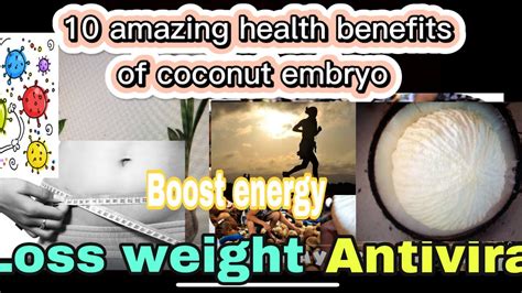 buwa ng niyog benefits|Surprising benefits of the Coconut Embryo.